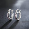 fine noble 925 Sterling Silver crystal zircon Earrings for Women classic Christmas Gifts Wedding party Jewelry