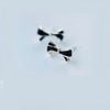 Real 925 Sterling Silver Boho Enamel Bow-knot Stud Earrings 2020 For Women Red Black Pink Colors Fine Jewelry Accessories