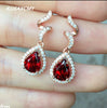Fine Jewelery 925 silver earrings on new Madagascar natural fire explosion of wonderful quality Garnet Earrings