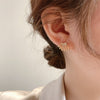 Korea Design Jewelry Exquisite Copper Set Zircon Claw Scallop Earrings Elegant Women's Daily Work Accessories