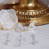 Korea Design Jewelry Sweet Camellia Love Shell Earrings Simple Women's Daily Work Accessories