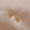 Korean Design Jewelry Personality Firework flowers Earrings Metal Copper Inlaid Zircon Earrings for women