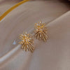 Korean Design Jewelry Personality Firework flowers Earrings Metal Copper Inlaid Zircon Earrings for women