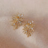 Korean Design Jewelry Personality Firework flowers Earrings Metal Copper Inlaid Zircon Earrings for women