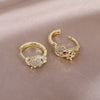 Korean jewelry exquisite copper inlaid zircon animal leopard asymmetric earrings trend women's party party earrings