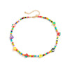 Lacteo 2022 INS Trendy Rainbow Color Beeds Clavicle Chain Choker Necklace Acrylic Fruit Flower Jewelry Charm Necklace