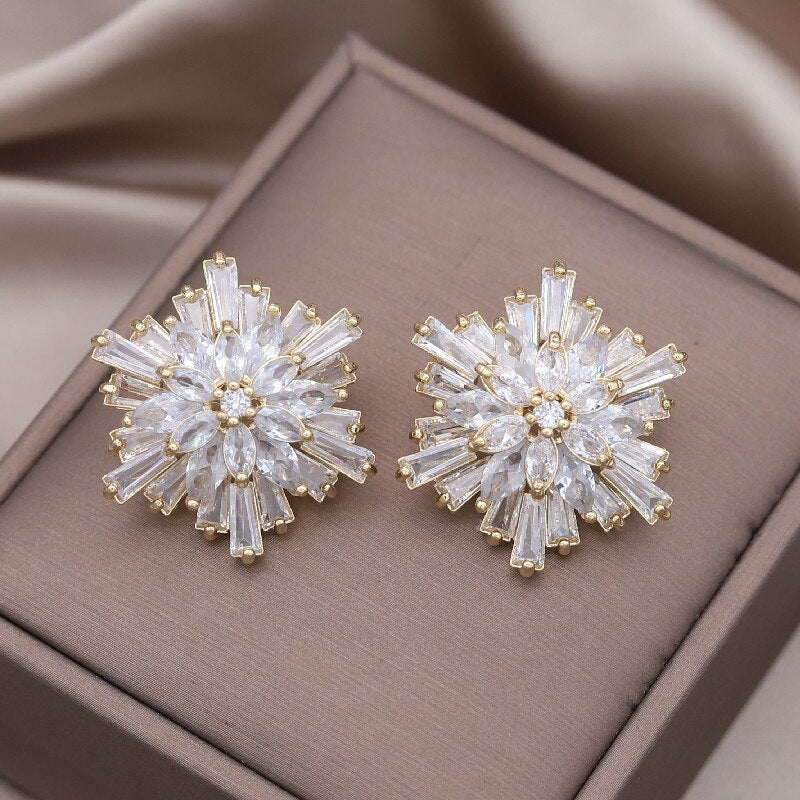 Design Jewelry in Korea Irregular Zircon Exaggerated Flower Earrings  Women's Wedding Party Accessories