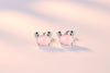 Wholesale Sweet Cute Fashion For Woman Girl Pink Animal Rat Rabbit Goat Ox Dragon 925 Sterling Silver Stud Earrings YS387