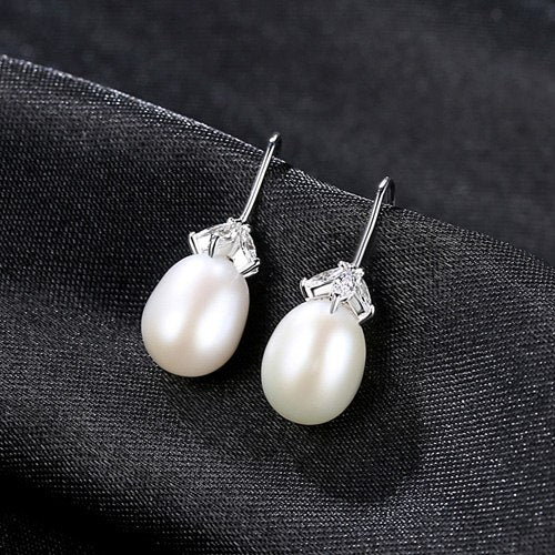 Petite 925 Sterling Silver Drop Earrings Accessories For Women Zircon Simple Style Hook Dangling Earring