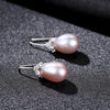 Petite 925 Sterling Silver Drop Earrings Accessories For Women Zircon Simple Style Hook Dangling Earring