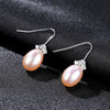 Petite 925 Sterling Silver Drop Earrings Accessories For Women Zircon Simple Style Hook Dangling Earring
