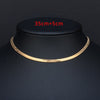 Punk Flat Blade Snake Link Chain Choker Necklace Gold Silver Color Stainless Steel Neck Chains For Women Jewelry Chocker 2021
