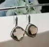 S925 silver inlaid Earrings lady's Retro cut Tea Face Earrings Fashion Style Jewelry Earrings accessories
