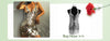 IngeSight.Z Punk Plastic Chunky Thick Miami Curb Chain Body Chain Women Gold Color Sexy Harness Waist Belly Chain Belt Jewelry