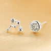 925 Sterling Silver Twelve Constellations Stud Earrings Fine Jewelry for Women Asymmetry Earrings 2020 New Arrival