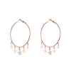 Small Crystal Stars Hoop Earring Gold Silver Color Simple Big Circle Stainless Steel Earrings For Woman Jewelry Accessories Gift