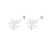 Snowflake Stud Earrings for Women Stainless Steel Gold Color Flower Earrings 2023 Trend femme Aesthetic Jewelry anillos mujer