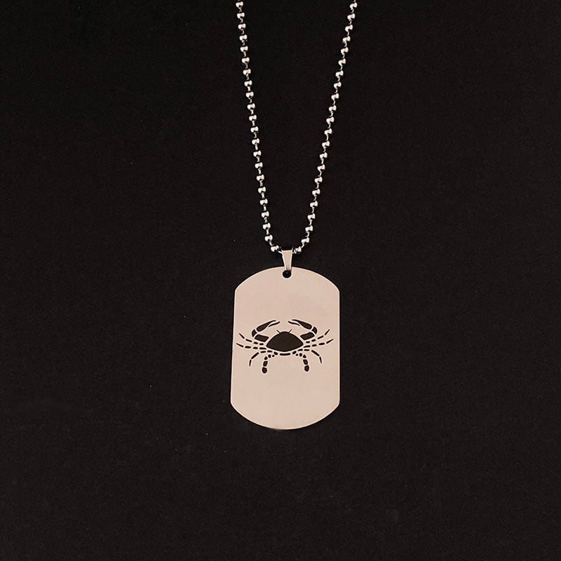 Stainless Steel 12 Horoscope Zodiac Sign Silver Color Pendant Necklace Aries Leo   12 Constellation Jewelry