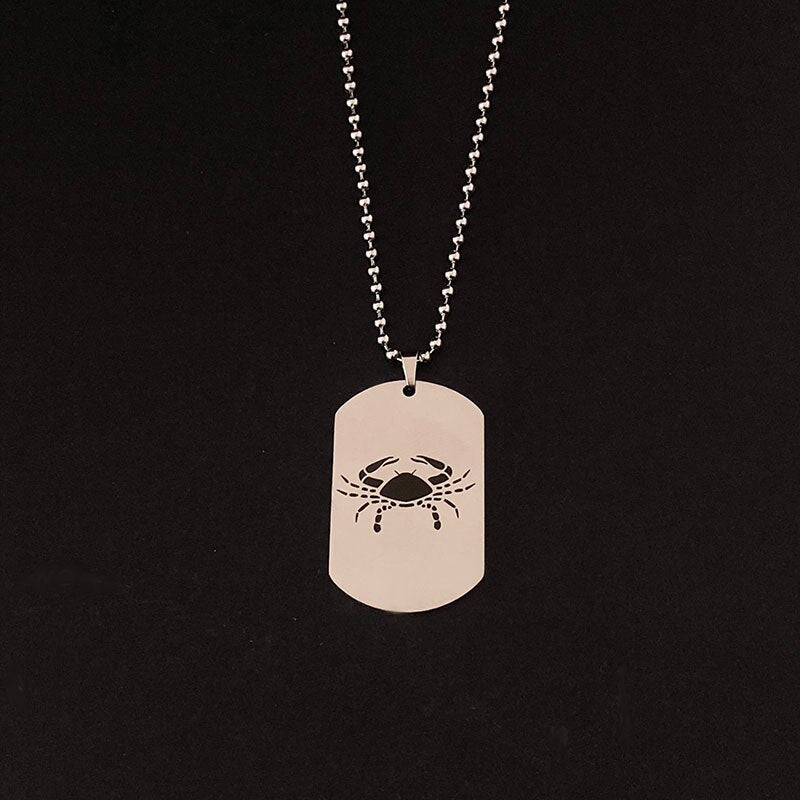 Stainless Steel 12 Horoscope Zodiac Sign Silver Color Pendant Necklace Aries Leo   12 Constellation Jewelry