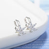 Star Zircon Small Earrings For Women Korean Ring Stud Earrings 2022  Jewelry Christmas  GaaBou
