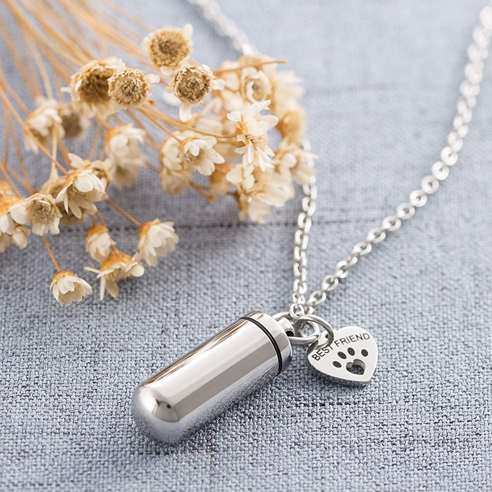 TTVOVO Pet Paw Heart Charm & Cylinder Memorial Urn for Ashes Pendant Necklace  FRIEND Ash Holder Cremation Keepsake Jewelry