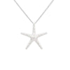 Trendy Big Starfish Pendants Female Necklace Silvery Long Chain Necklaces Jewelry For Women 2022 Gifts 11.11