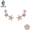 Fashion Stud Earrings For Women Boucle Glitter Stars 925 Sterling Silver Earring Pendientes Jewelry Party Gifts BKE291
