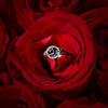 Vintage Shining Zircon Planet Rings Delicate 925 Silver Star Earth Universe Ring Necklace Retro Party Wedding Women Jewelry Gift