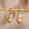 Wave Round Hoop Earrings for Women Stainless Steel Gold Color Earrings 2023 Trend Zircon Couple Wedding Jewelry Christmas Gifts