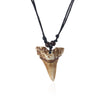 s 6Pcs Faux Yak Bone Brown Shark Tooth Teeth Pendant Necklace Adjustable Surfer Jewellery