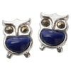 925 Sterling Silver Owl Stud Earrings Birthd Party Christmas Holid Jewelry Gifts Women Girls Her Dropshipping CE152A