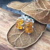 4 Colors Chic Amber Earrings for Women Tiny Creative 100% Natural Baltic Amber Stud Earrings Jewelry Supplies Wholesale