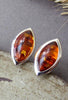 Oval Natural Amber Stud Earrings European New Chic Women Trendy Design Original Bead Amber Jewelry Tiny brincos femininos