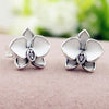 PDE100 S925 Hot Sale Genuine 925 Sterling Silver Statement Feather Fairy Wings Stud Earrings for Women Fashion Silver Jewe