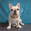Small Dog Snack Chain Teddy French Bulldog Necklace Silvery/Golden Pet Accessories Dogs Collar